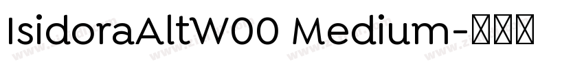 IsidoraAltW00 Medium字体转换
